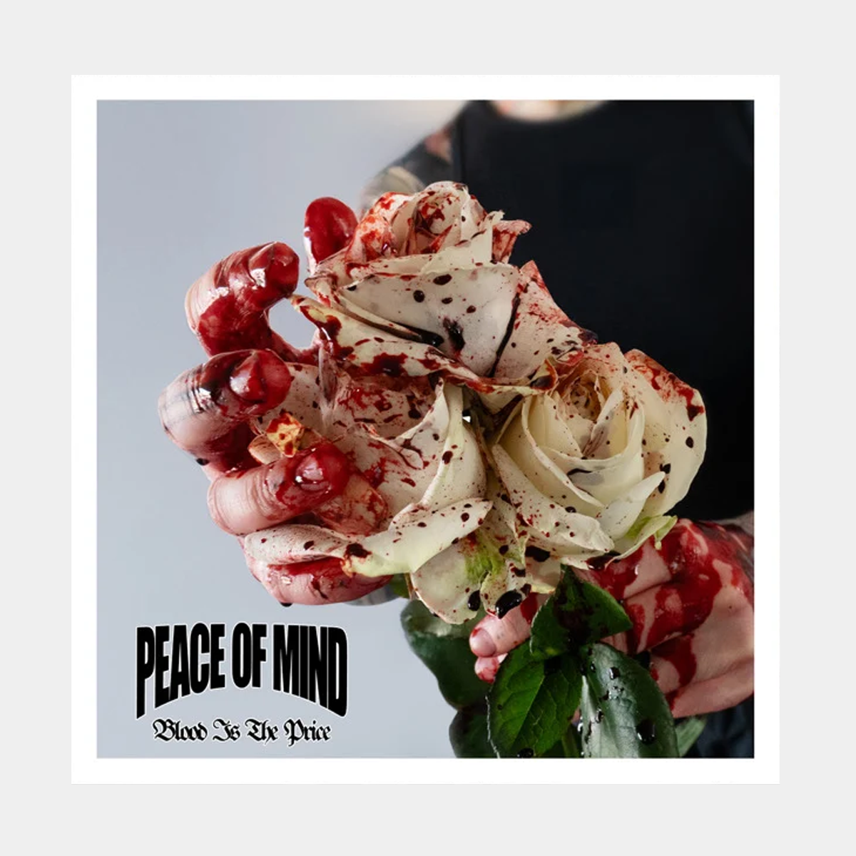 Peace of Mind Blood is the Price LP Record