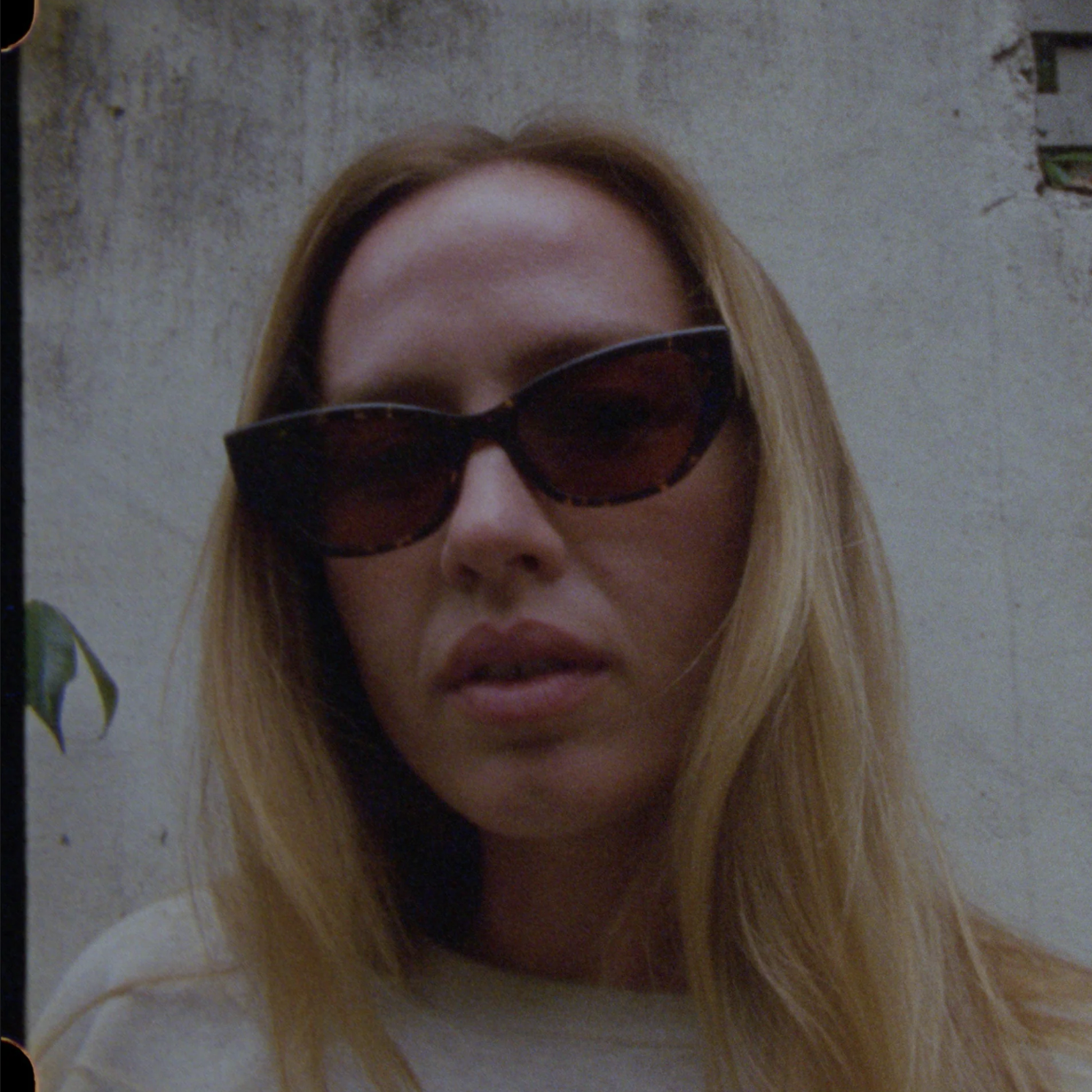 Epøkhe Reprise x Jack Freestone Crystal Dark Tortoise Polished + Bronze