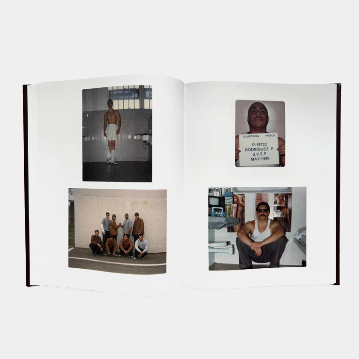 550BC Once Upon A Hood