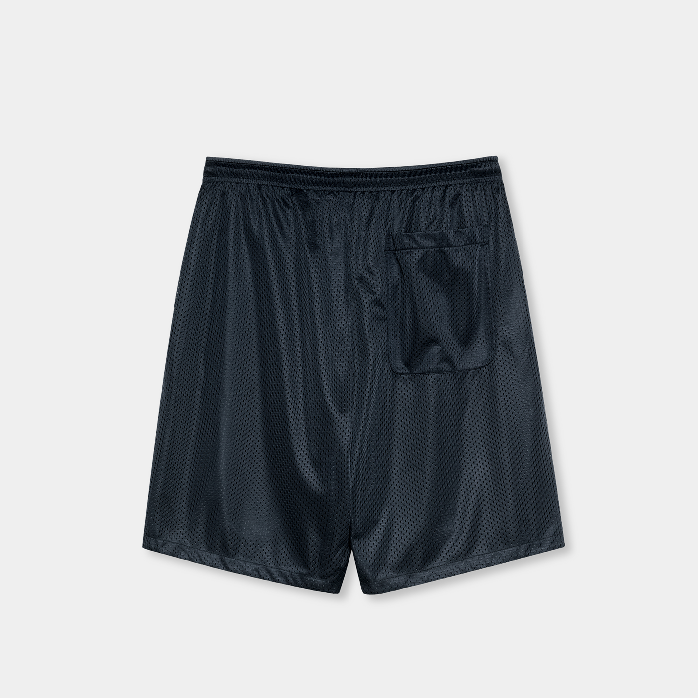 Polar Skate Co. Ray Shorts Navy