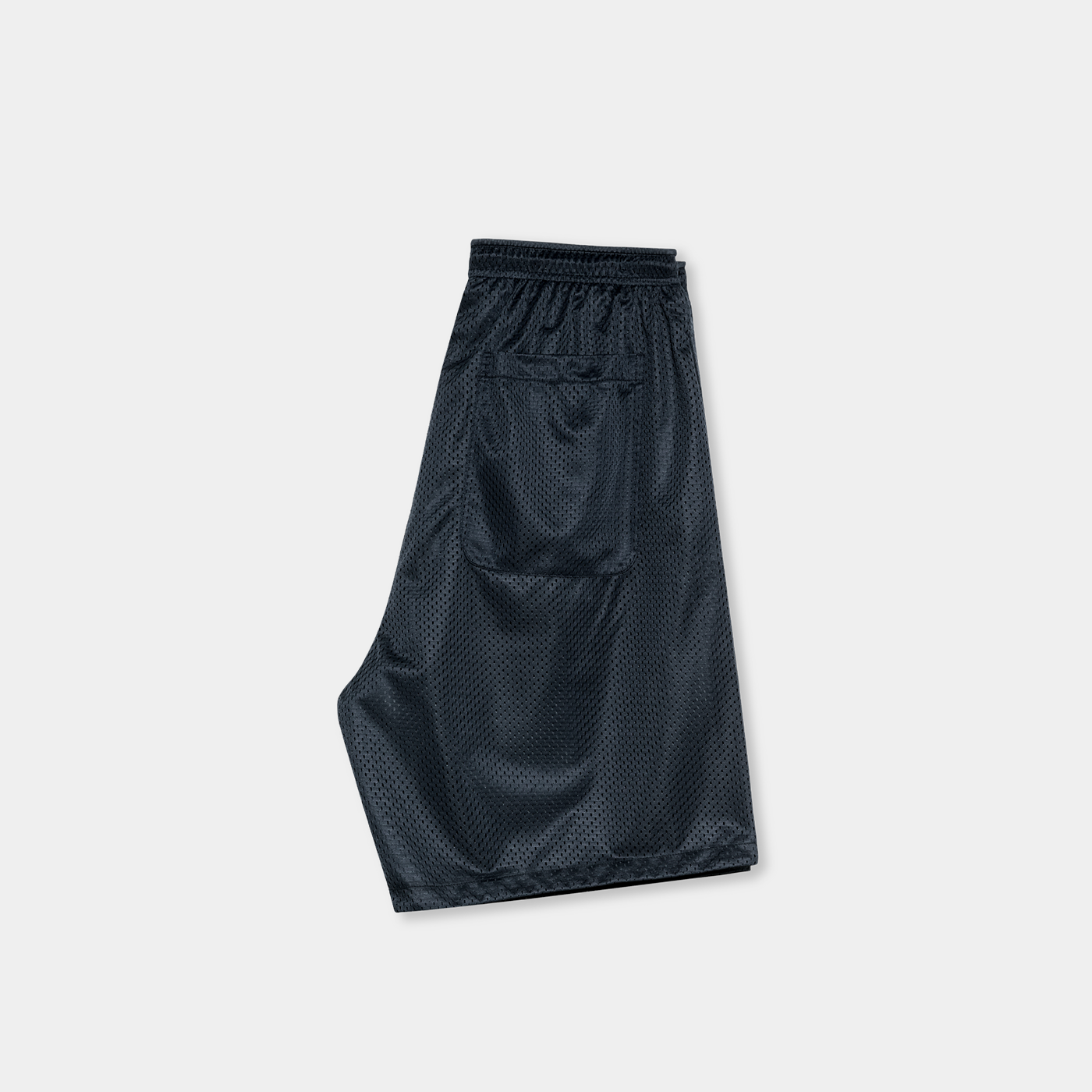 Polar Skate Co. Ray Shorts Navy