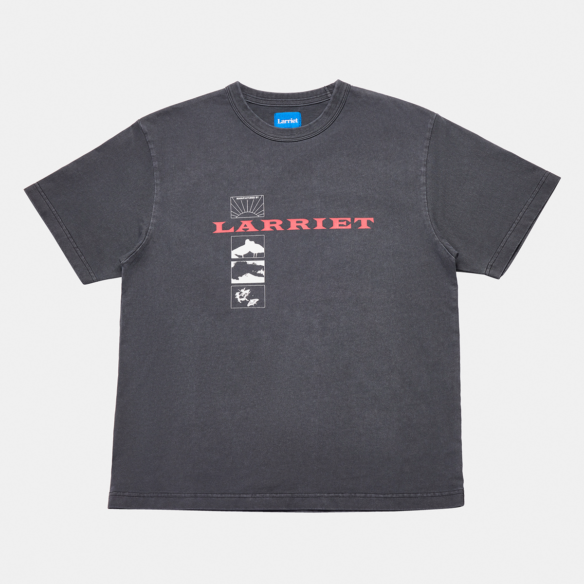 Larriet Wings Tee Used Black