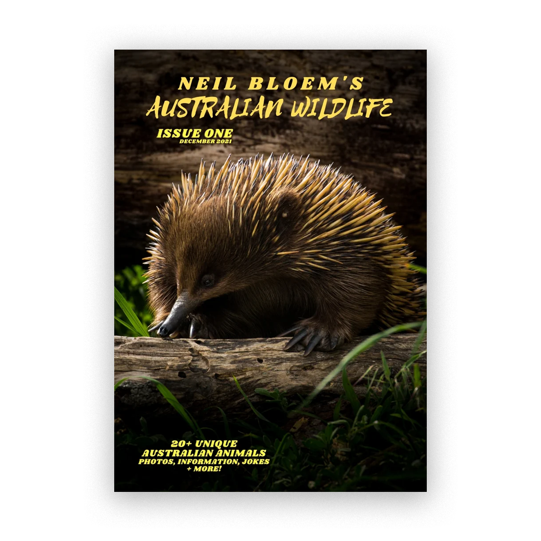 Neil Bloem’s Australian Wildlife Issue One