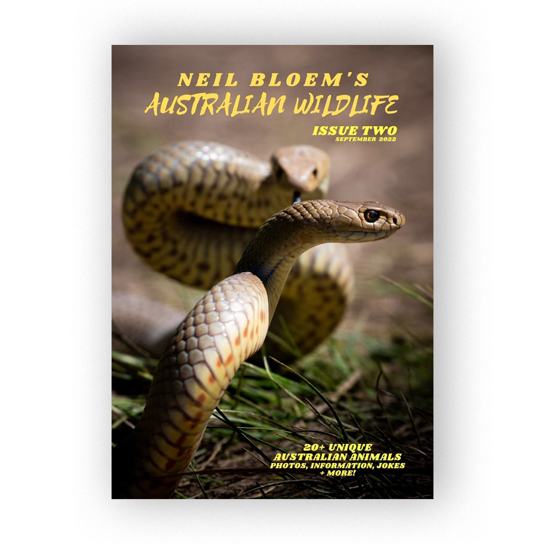 Neil Bloem’s Australian Wildlife Issue Two